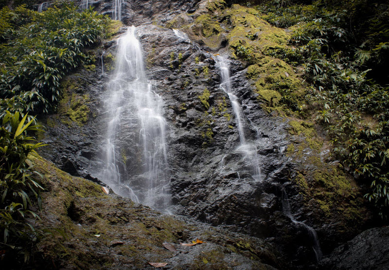 Brownsberg Nature Park, Suriname